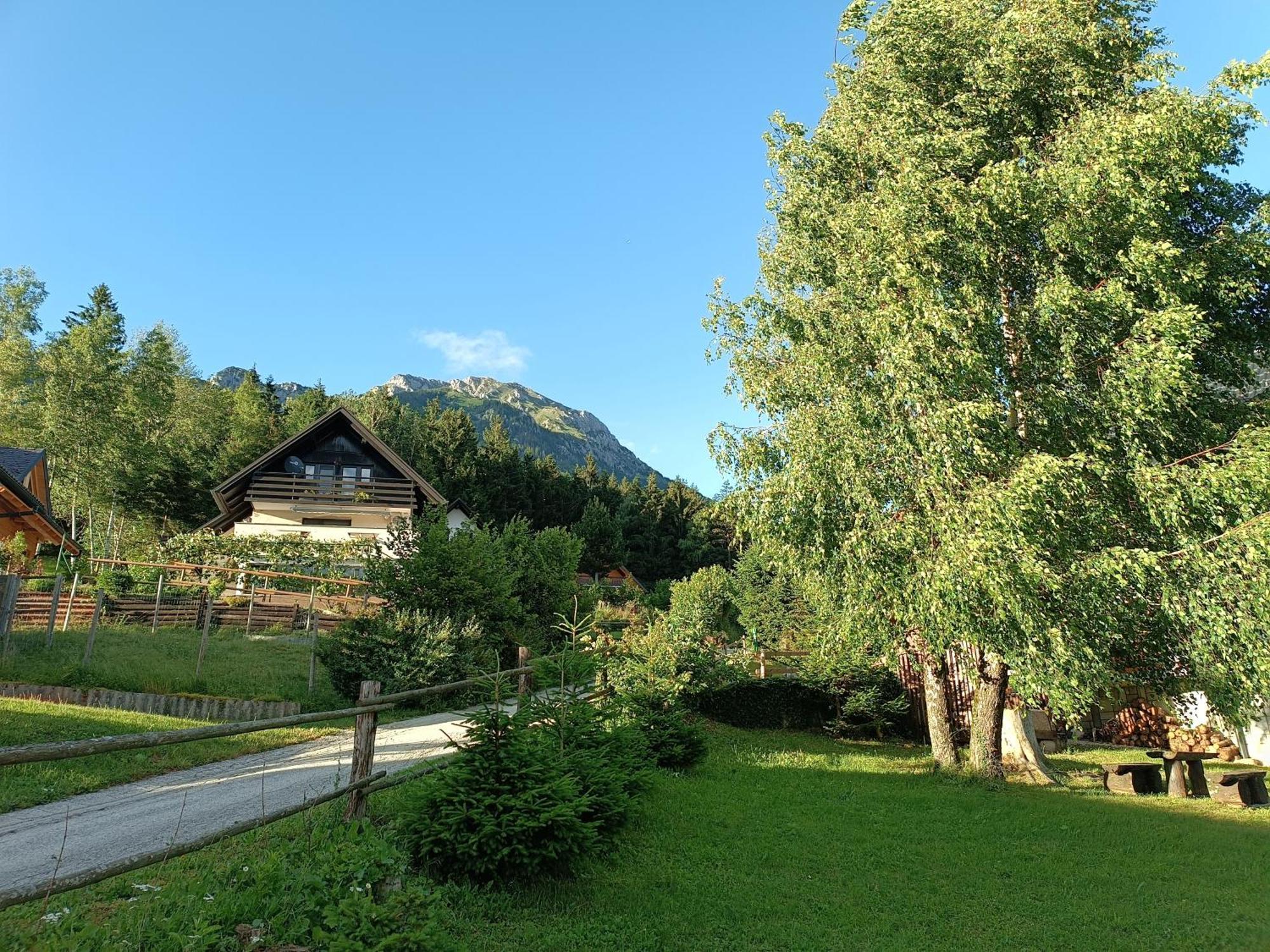 Kralj Matjaz - The Green Escape Under Alps Golnik Exterior foto