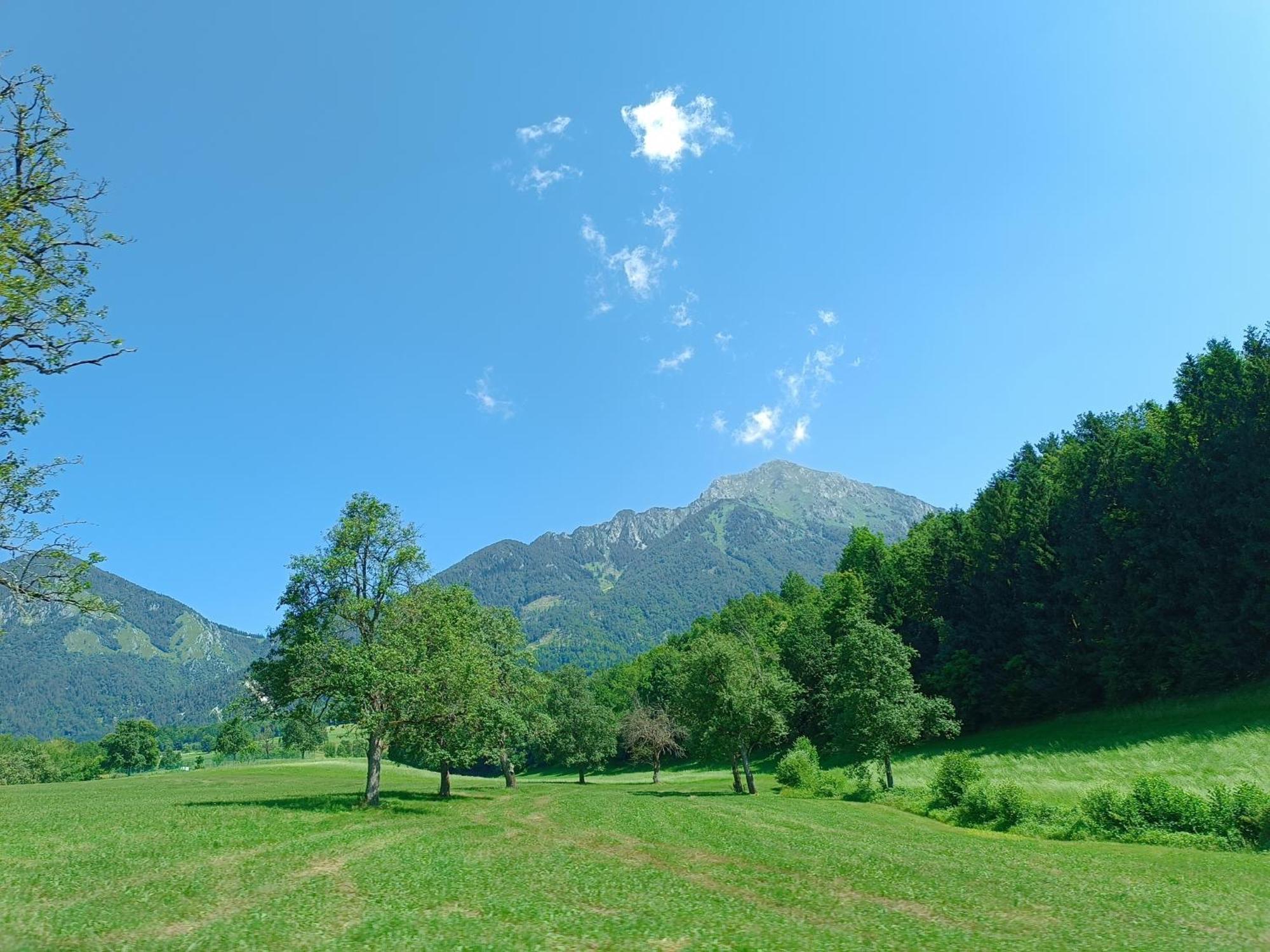Kralj Matjaz - The Green Escape Under Alps Golnik Exterior foto
